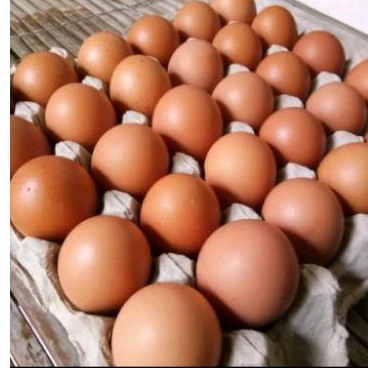 

TELUR AYAM 1kg( JEMBER WULUHAN)