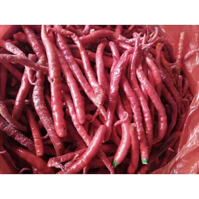 

cabai keriting petikan 1 kg