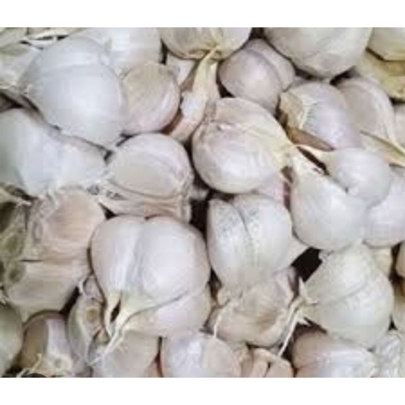

bawang kating 500gr
