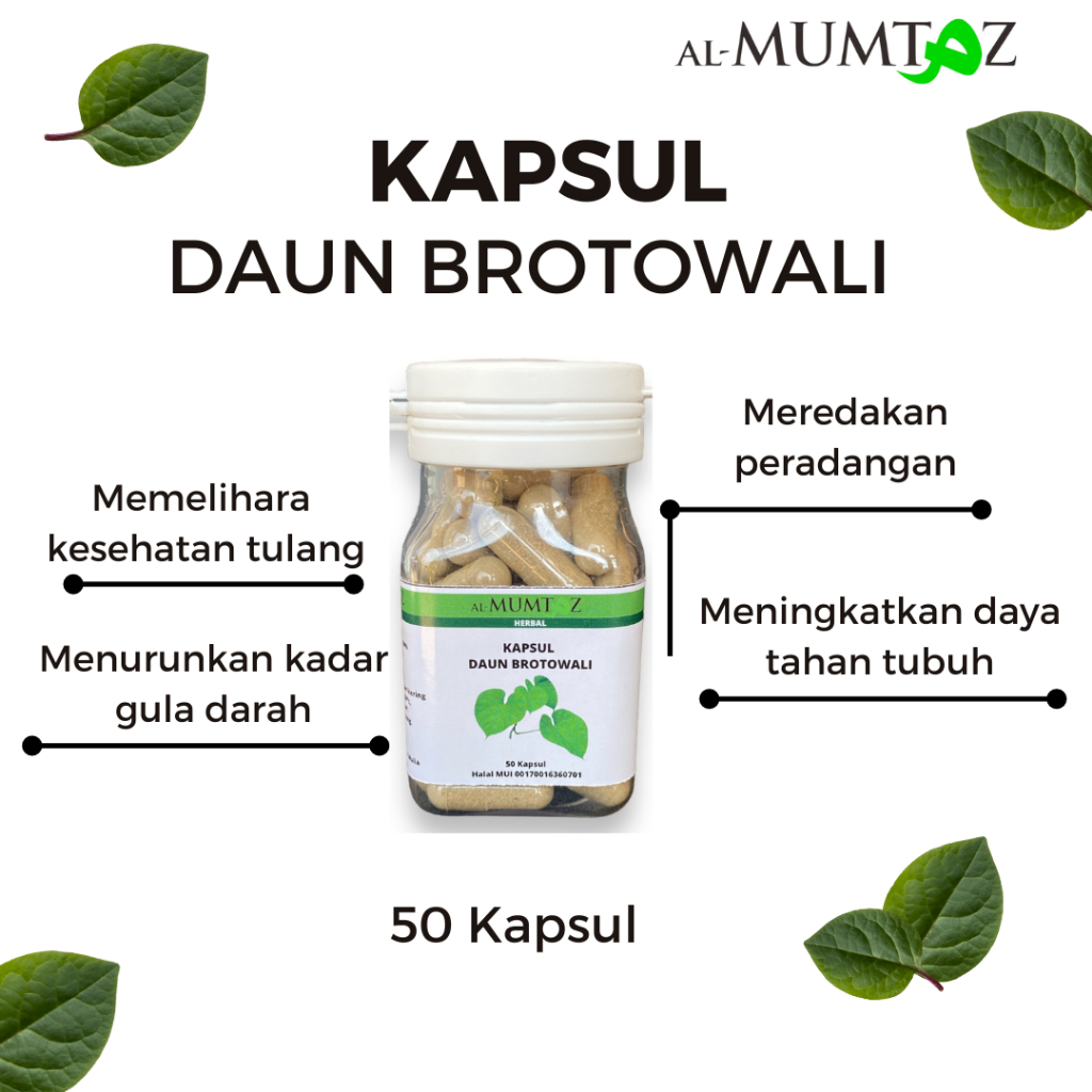 Kapsul Brotowali Obat Gatal Original Herbal Diabetes Untuk Sapih Anak Asam Urat Kurus Nafsu Makan