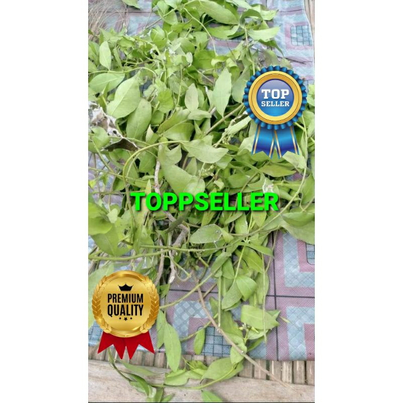 

BENALU MANGGA KERING HIJAU SUPER PREMIUM 1 KG