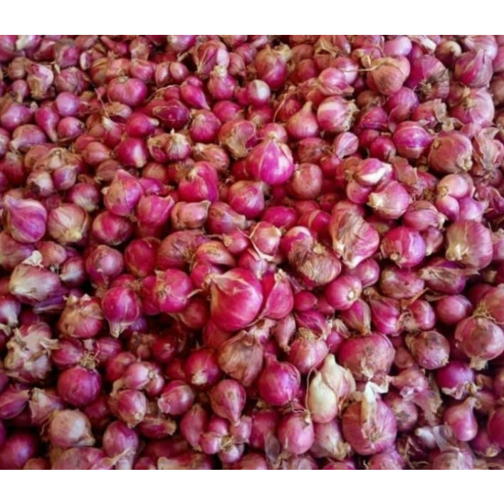 

BAWANG MERAH LOKAL UKURAN SEDANG BERKUALITAS 1KG