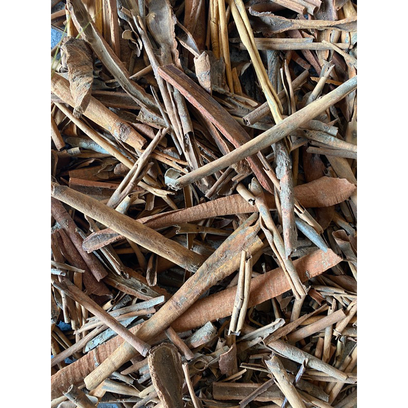 

kayu manis BS / bekas sortiran