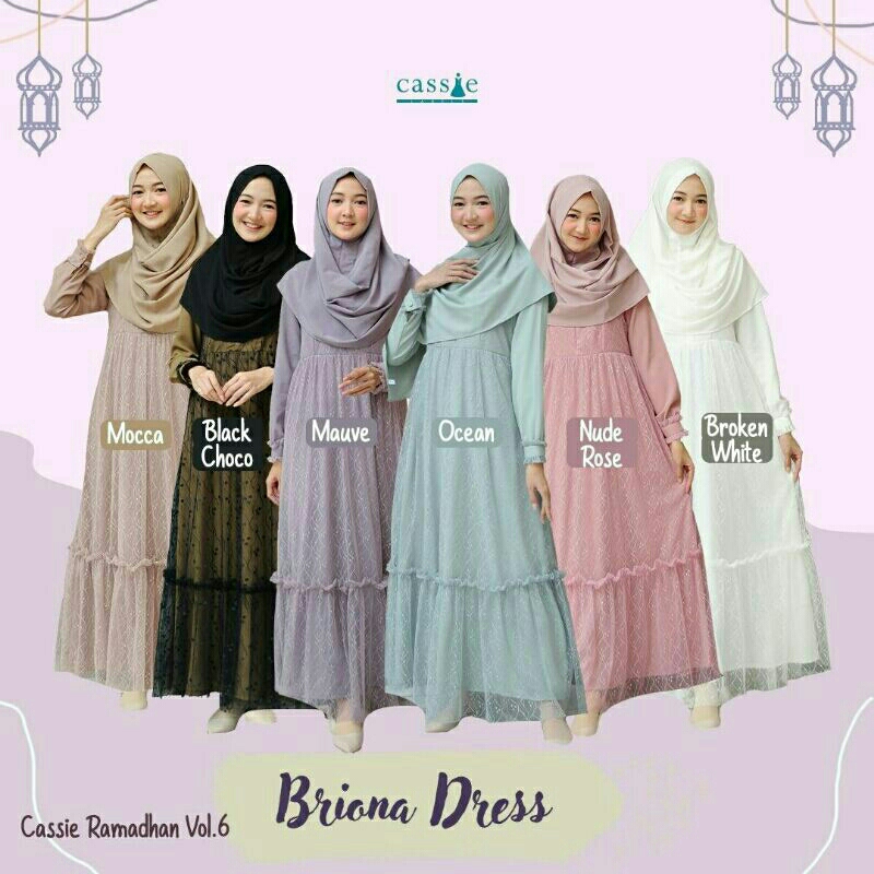 BRIONA DRESS