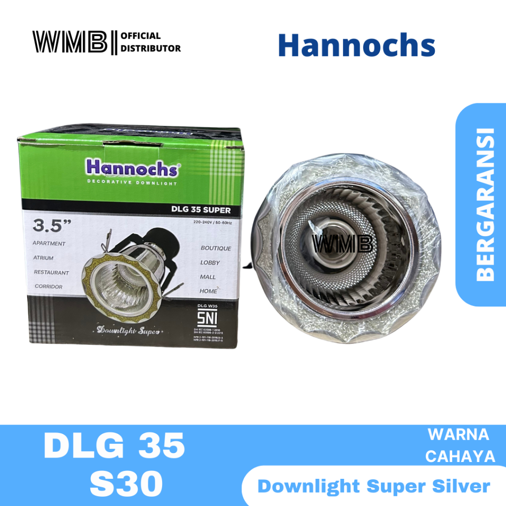 DLG 35 S30 Hannochs Downlight Super 3.5" Silver