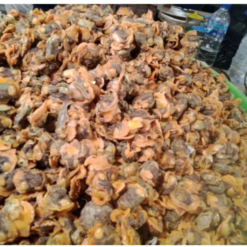 Kerang Darah Kupas