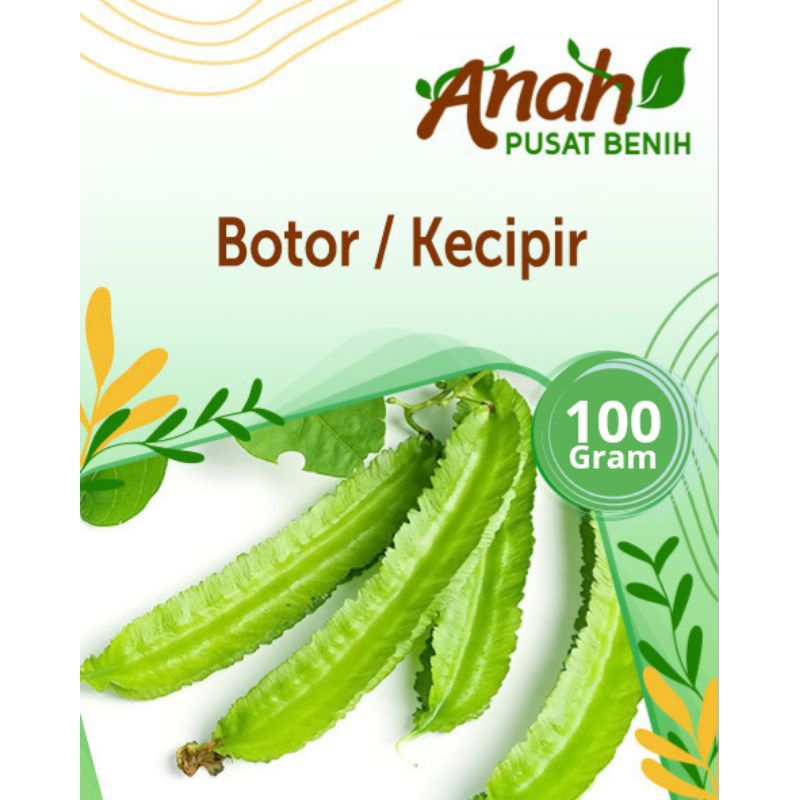 Benih kecipir 100 gram / bibit kecipir / Biji kecipir