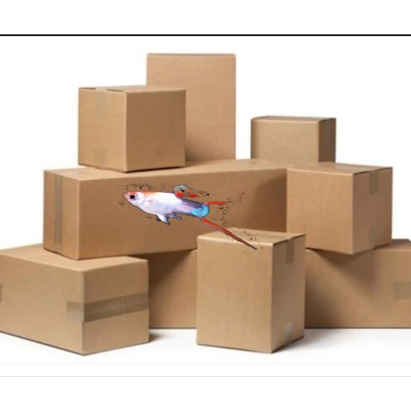 Silverado Swordtail perpasang