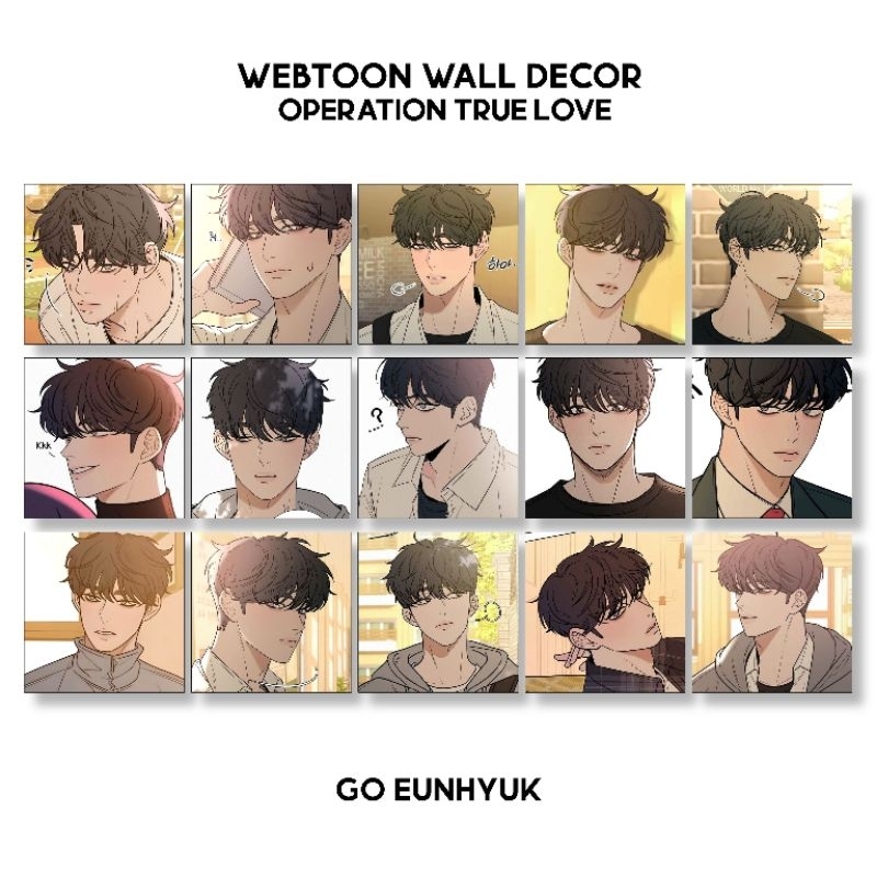 Wall Decor Operation True Love Go Enhyuk Bae Dohwa