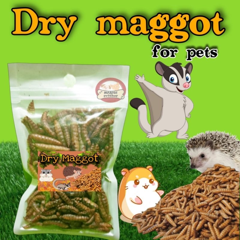 Ulat maggot kering - snack hamster - snack sugar glider - snack landak mini
