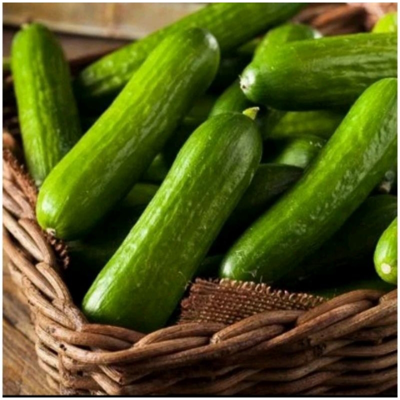 

Timun Lokal Fresh Sayur Segar