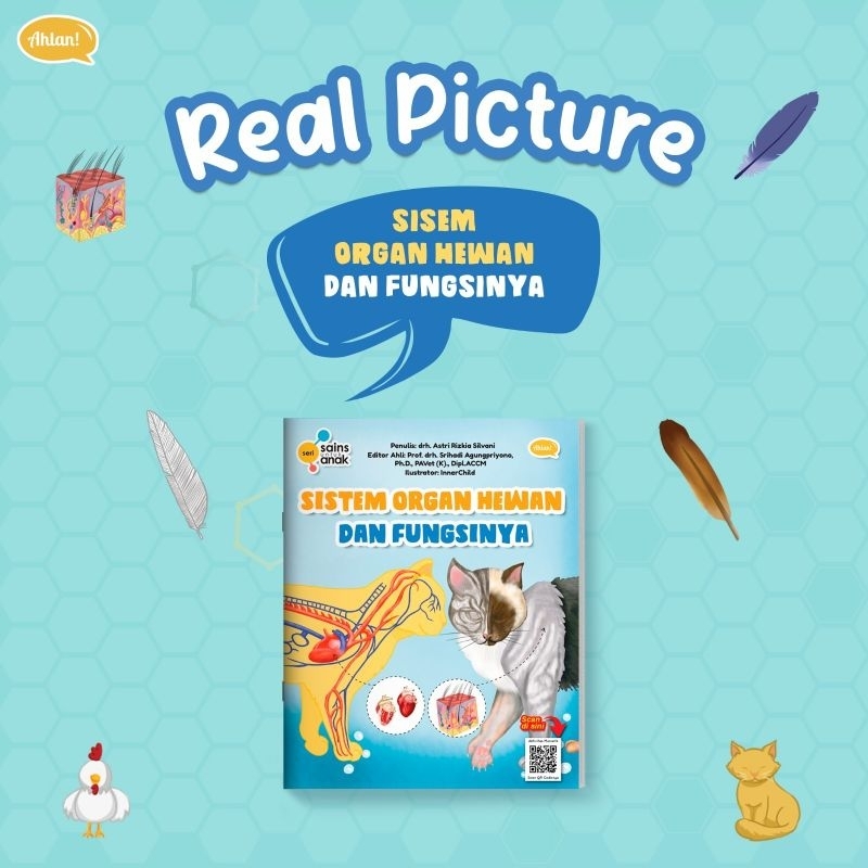 

SISTEM ORGAN HEWAN DAN FUNGSINYA