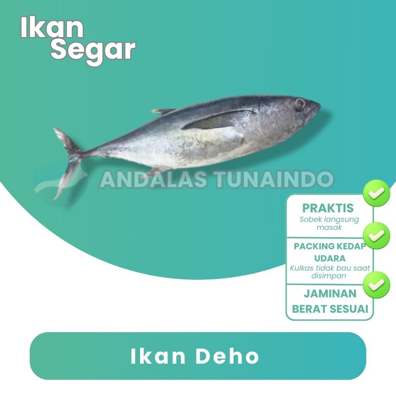 

Ikan Deho / Tongkol