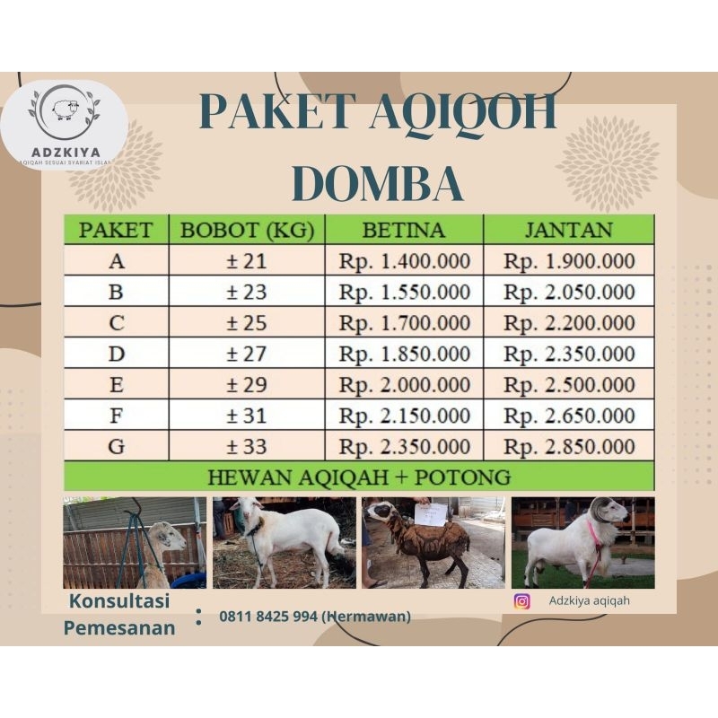 

PAKET AQIQAH KAMBING BETINA ATAU JANTAN