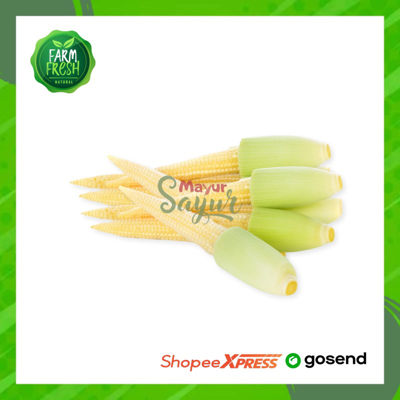 

KIRIM INSTAN Putren / Jantan / Jagung Muda Kecil / Per Ikat
