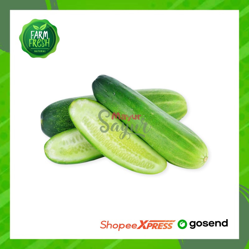 

KIRIM INSTAN Sayur Timun / Mentimun / Per Pcs