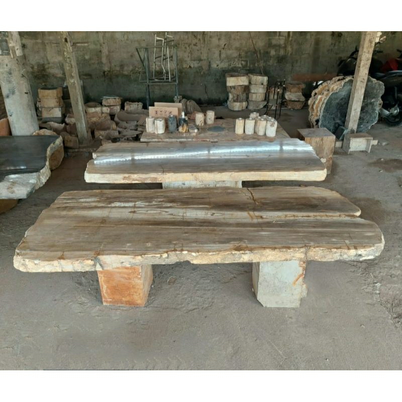 Meja Petrified Wood