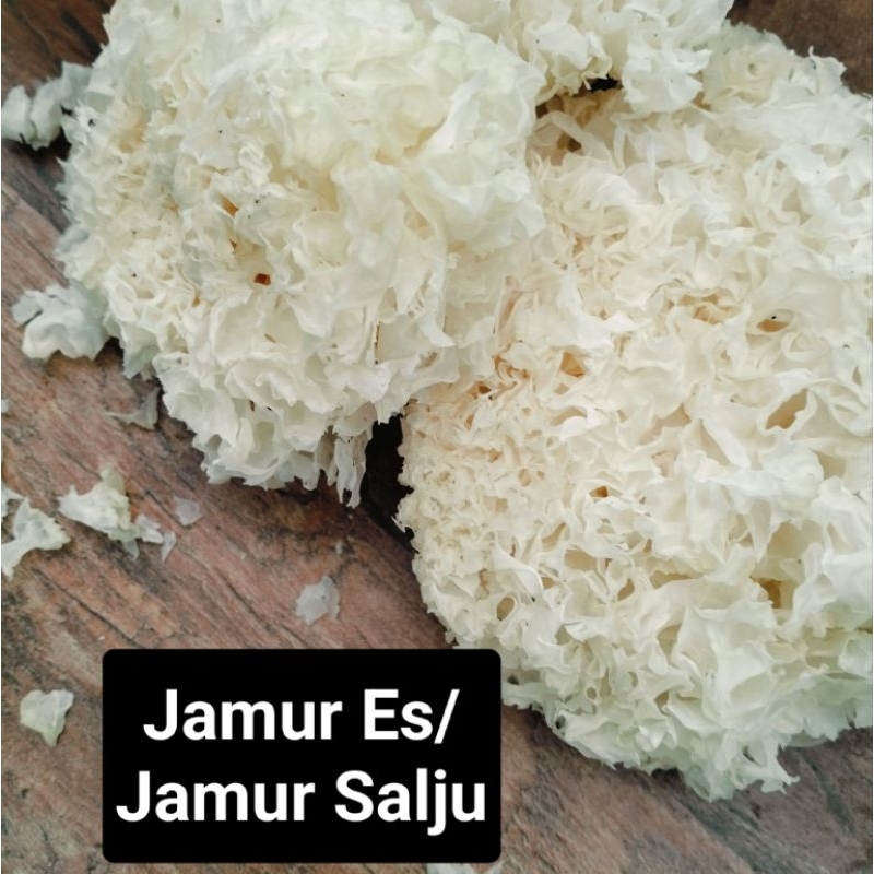 

Jamur Es/Jamur Salju