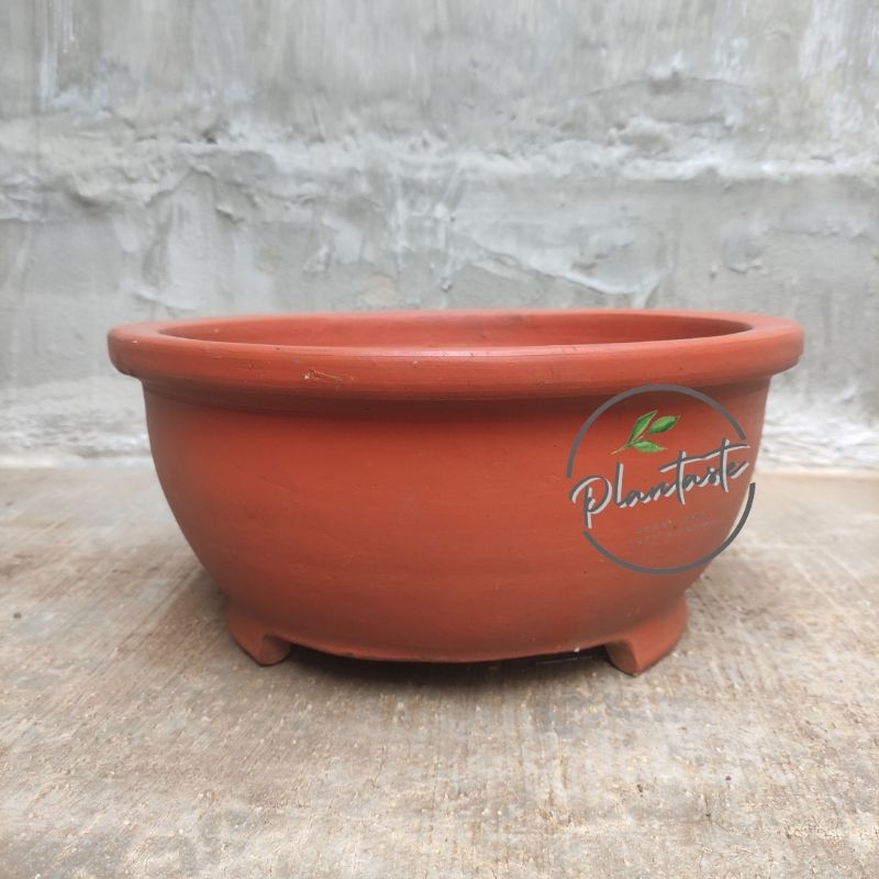 Pot Bonsai Gerabah Terracota | Pot Gerabah | Pot Bonsai | Plantasteid