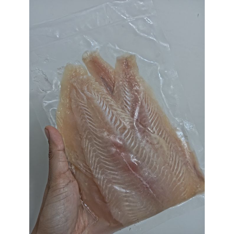 

Ikan Dori Fillet Premium