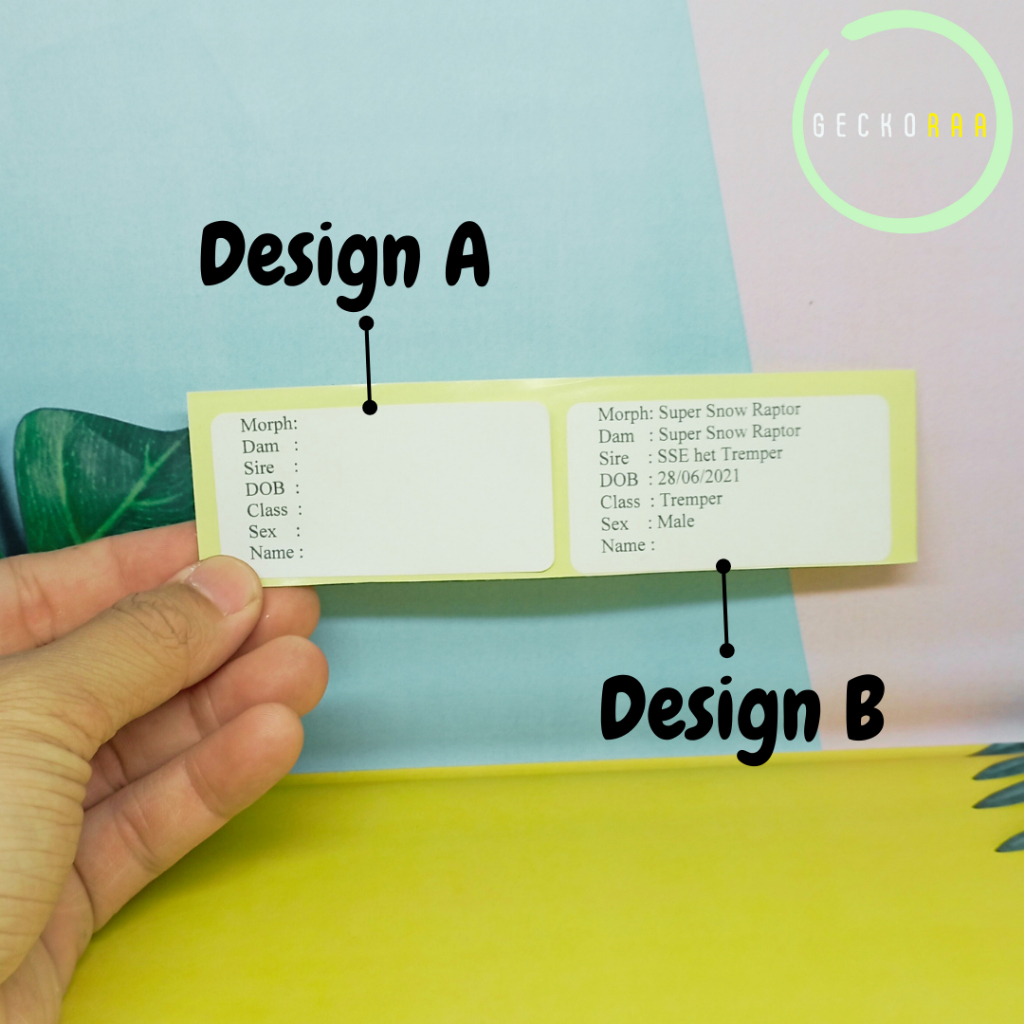 Stiker Data Reptil Gecko Custom