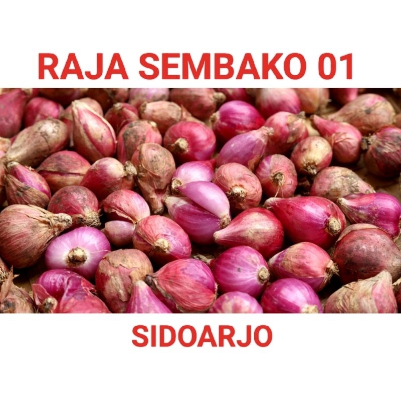 

BAWANG MERAH 1/2 KG MURCE