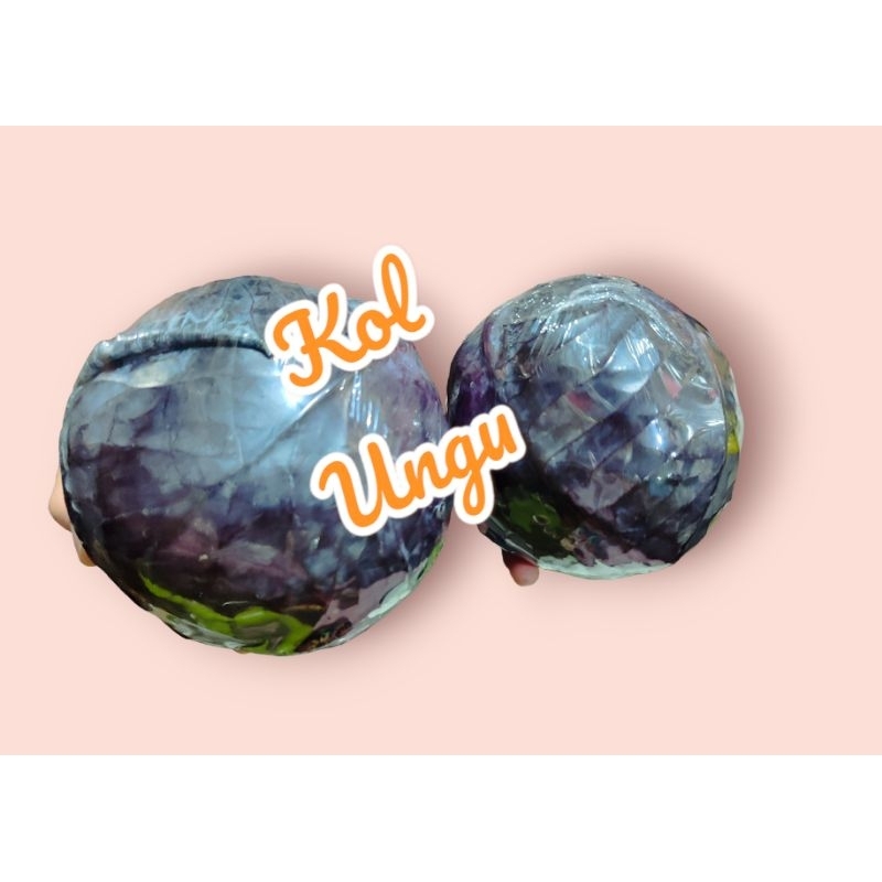 

KUBIS/ KOL UNGU SATUAN