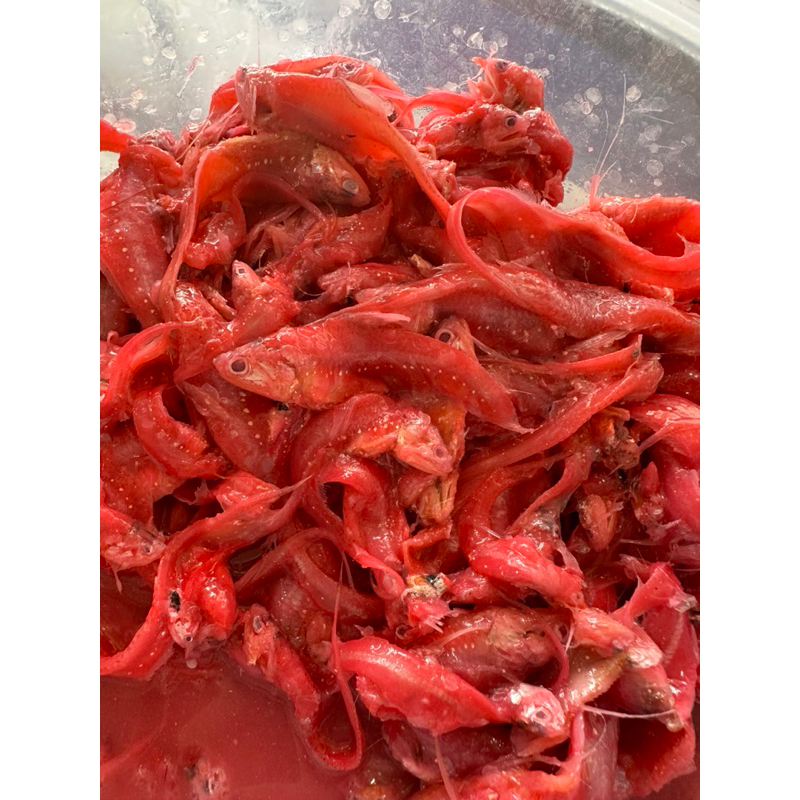 

Peda ikan Bilis / Ikan bulu ayam fermentasi Khas kalimantan