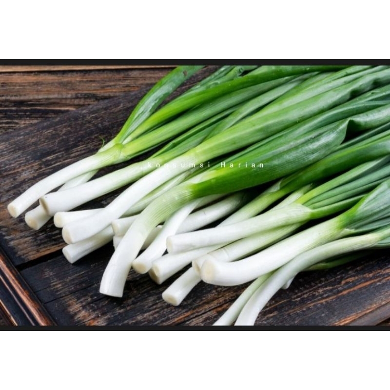 

Daun Bawang / Leek 100gram