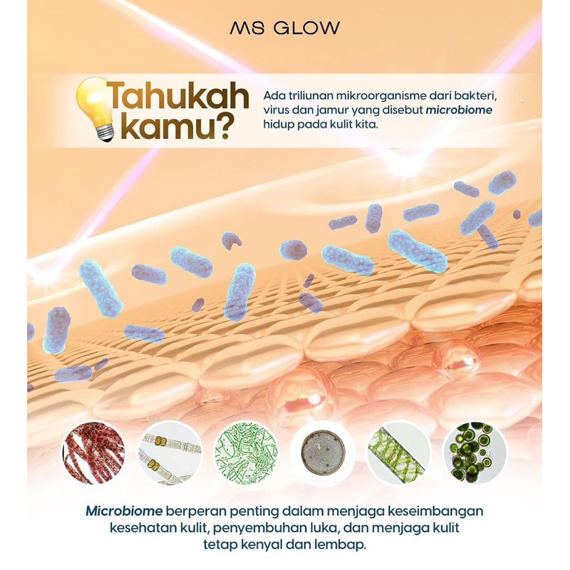 MS GLOW BIOME &amp; BARRIER CREAM ENRICHED WITH ECTOIN 8X AMINO ACID