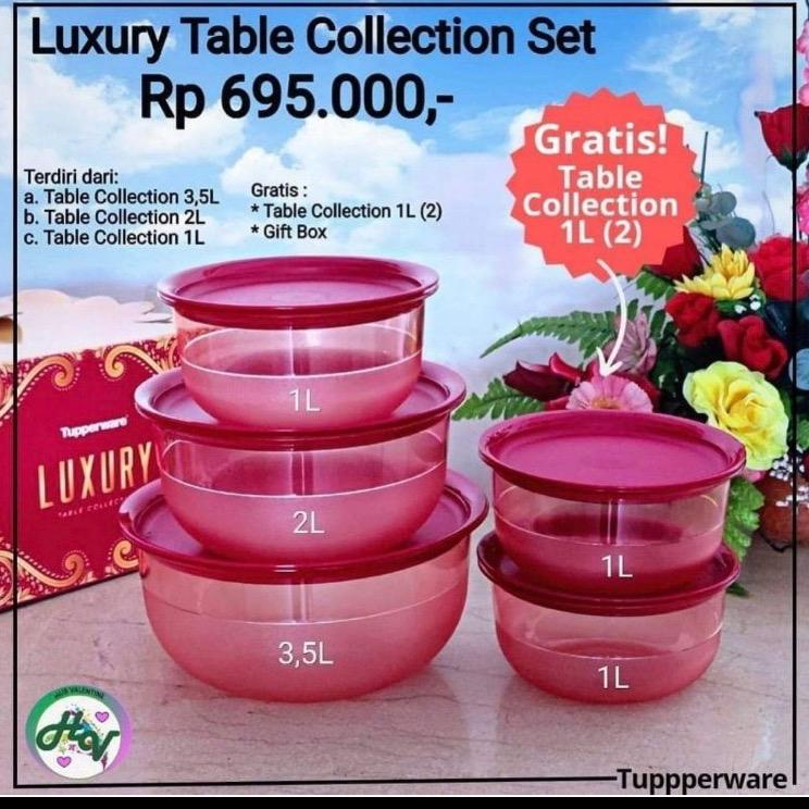 Luxury table collection tupperware dapat 5pcs / bowl tupperware