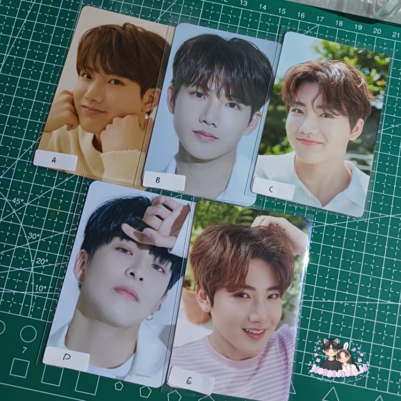 OFFICIAL PHOTOCARD MERCH MANYO TREASURE