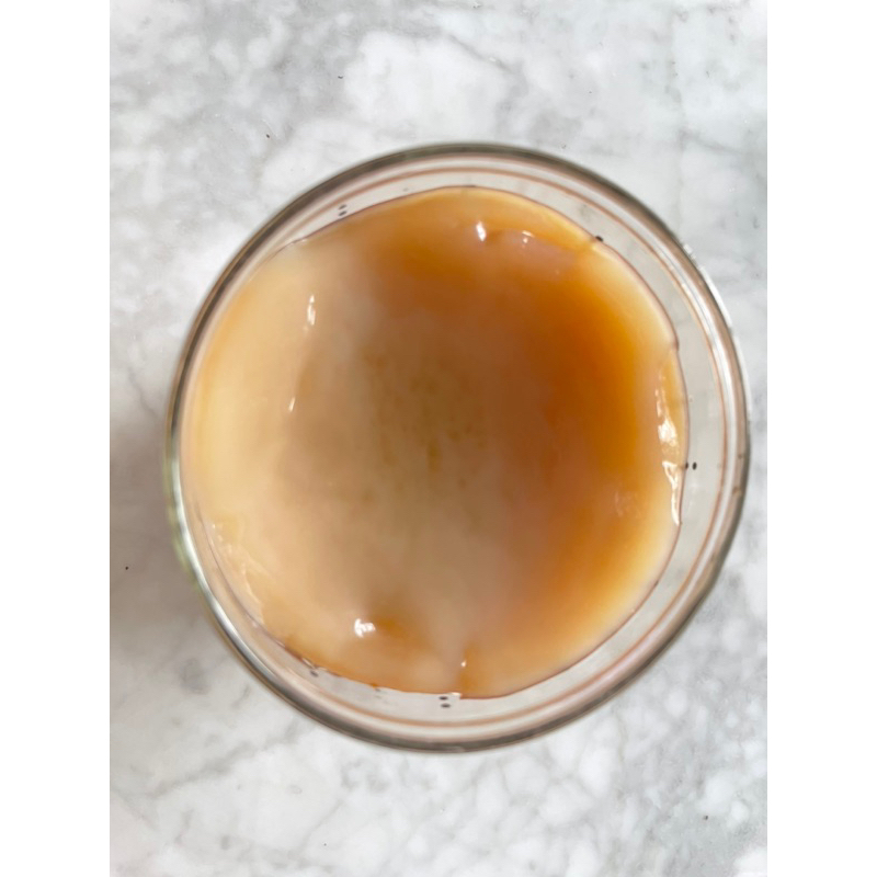

SCOBY STARTER
