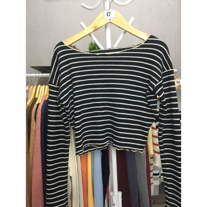 Crop top paket usaha