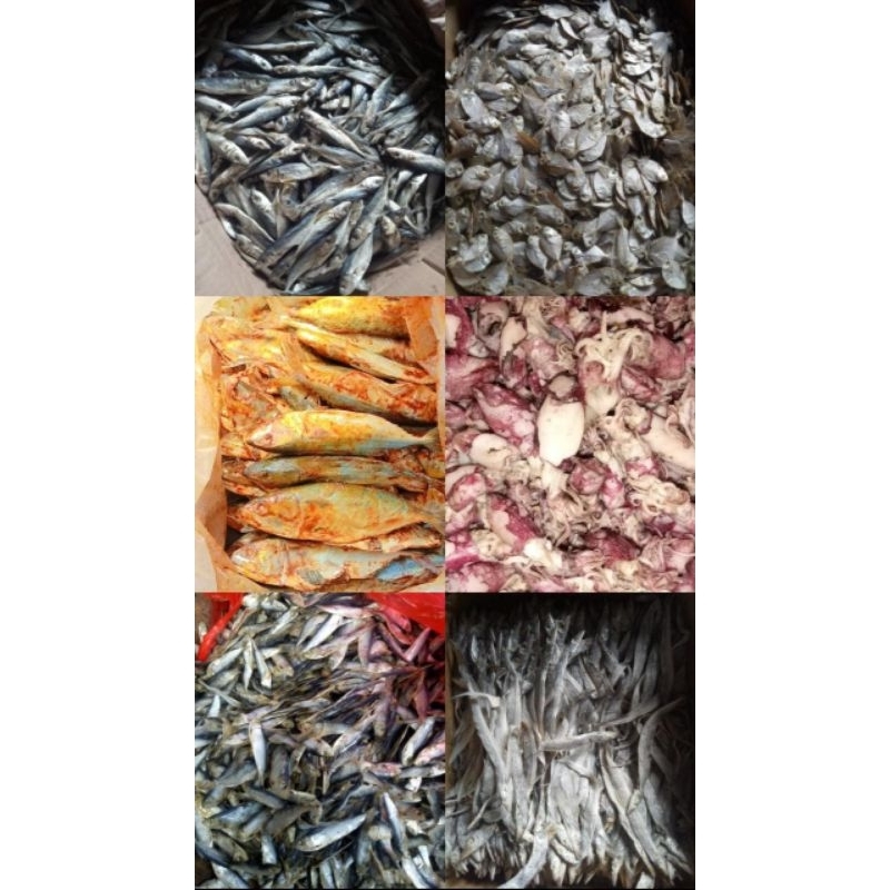 

ikanasincumiasinikanasinmurah