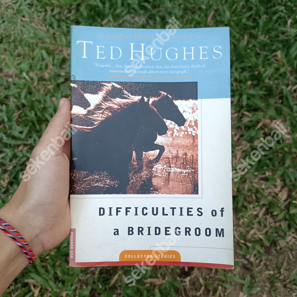 Buku Difficulties Of A Bridegroom by Ted Hughes (1997) Collected Stories