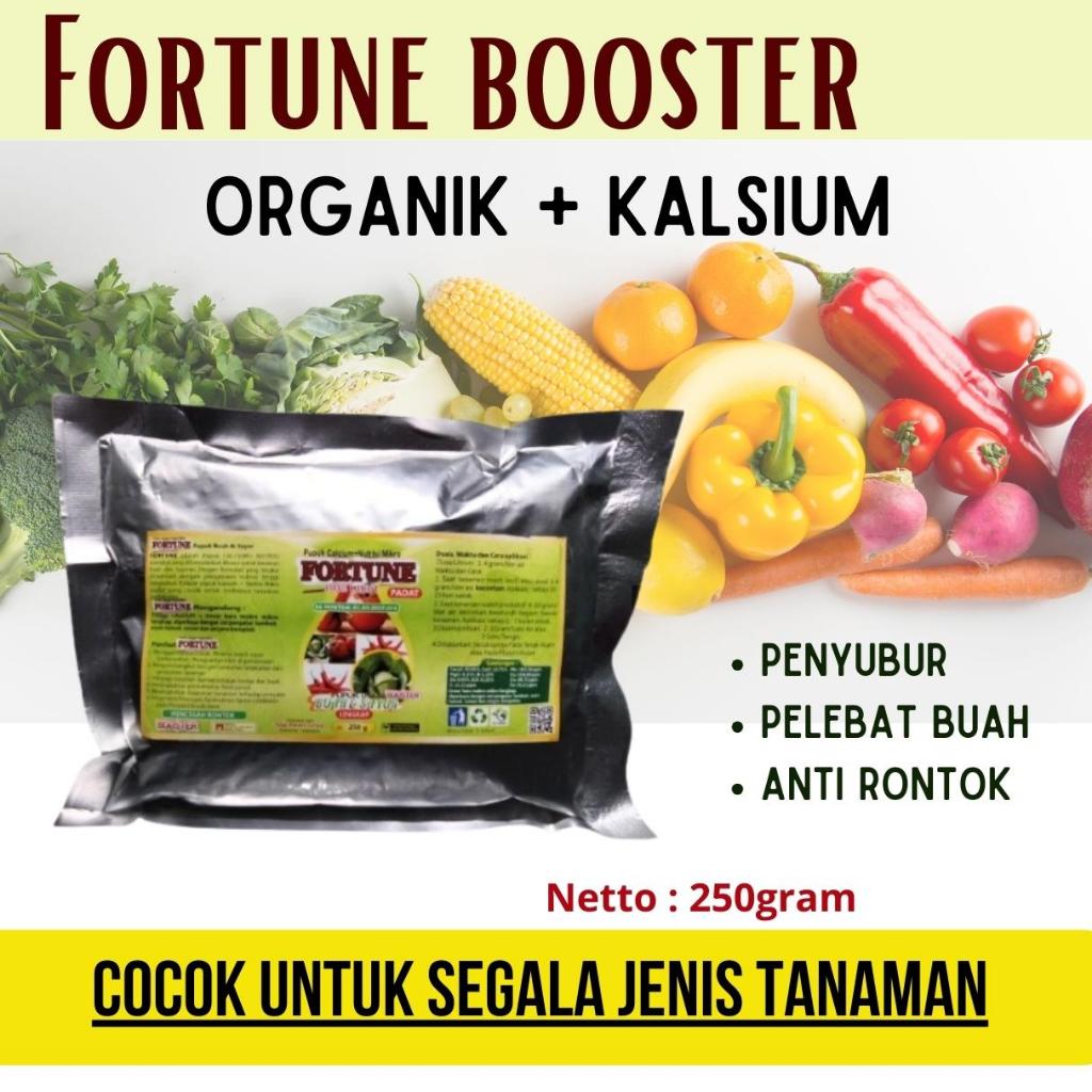 Pupuk Pelebat Buah Cabe, Pupuk Cabai, Pupuk Cabe, Pupuk Cabe Keriting, Pupuk Cabe Berbuah