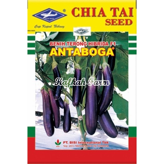Benih 25 Biji Terong ANTABOGA F1