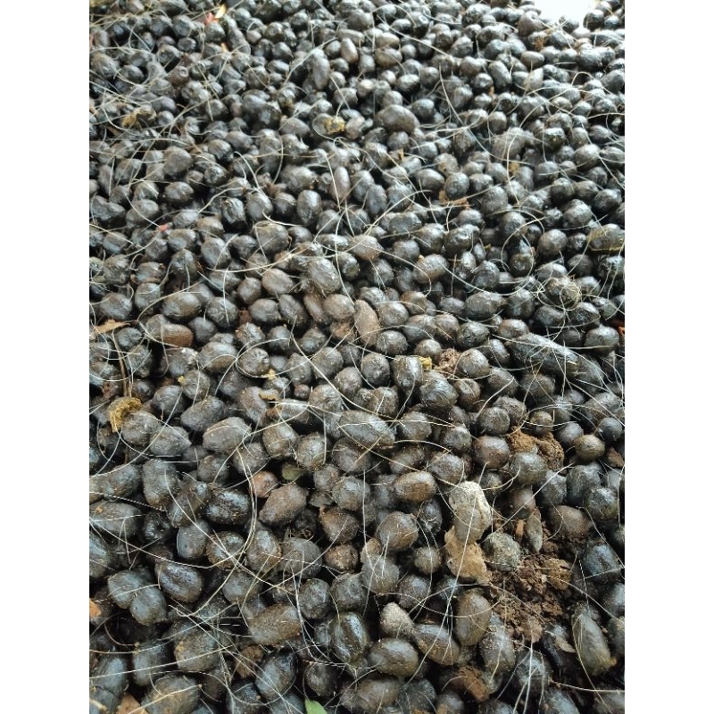 PUPUK KANDANG 1 KG / PUPUK ORGANIK KAMBING / PUPUK