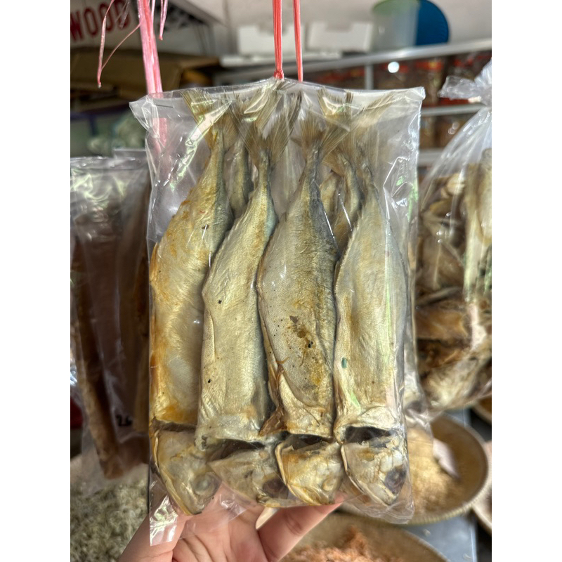 

Ikan Asin Gembung Kering / Jambal Gembung 500gr Khas Kalimantan