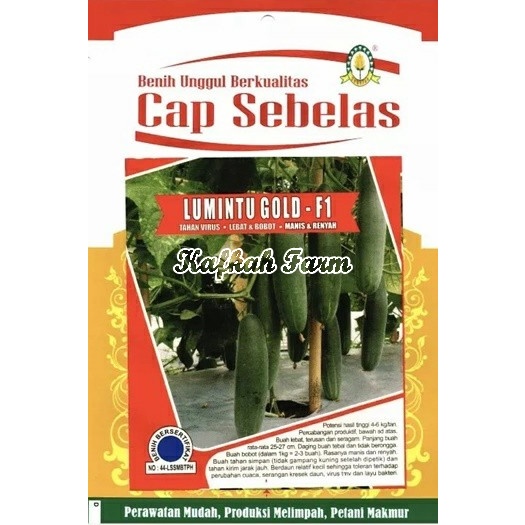 Benih 10 Biji Timun LUMINTU GOLD F1