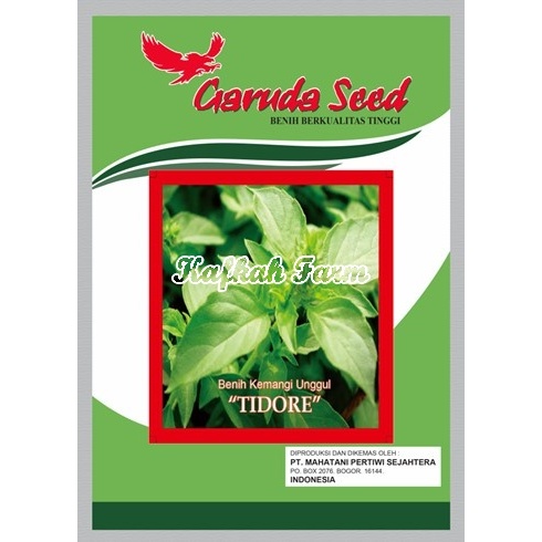 Benih 100 Biji Kemangi TIDORE
