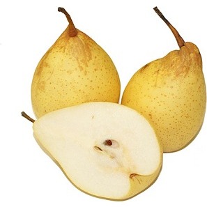 

Pear Ya Li