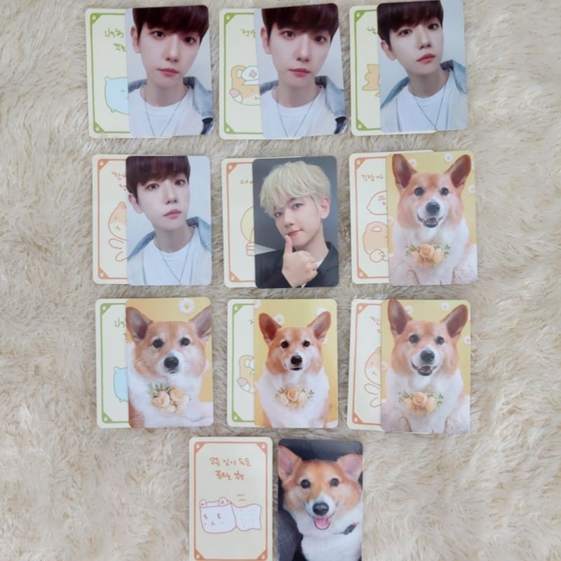 EXO BAEKHYUN TEOLAEGI TRADING CARD TC BAEKHYUN PHOTOCARD PC