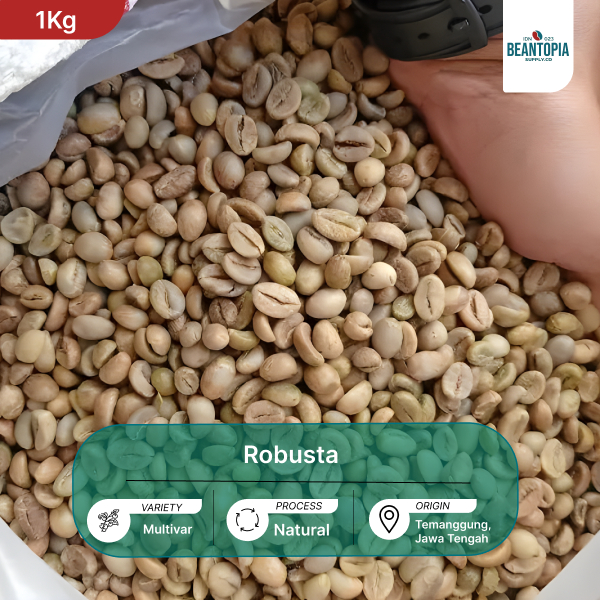 

[1Kg] Green Bean Robusta Fine Grade Temanggung