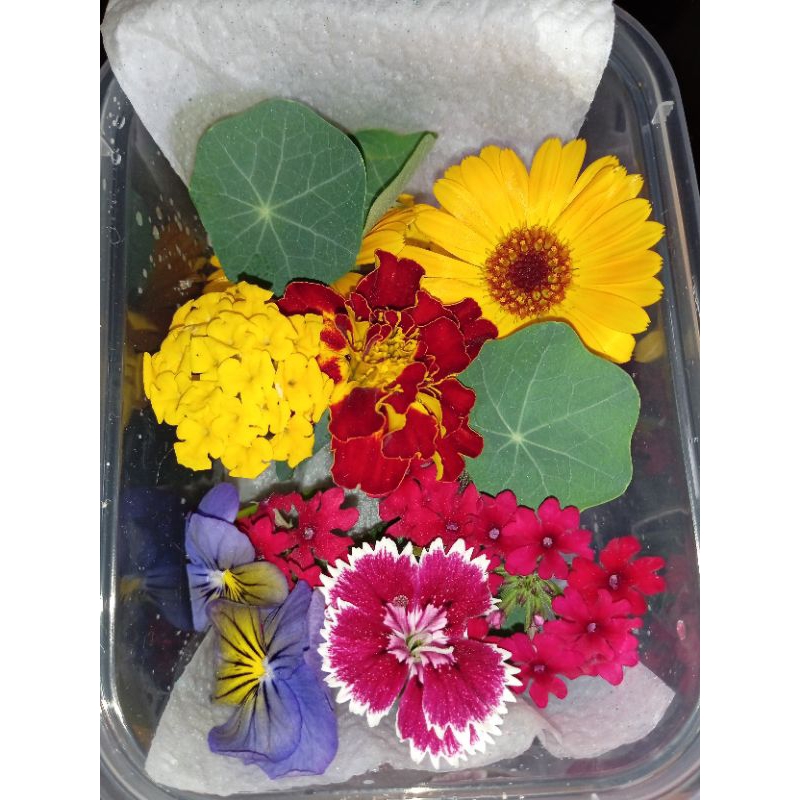 

edible flower mix flower garnish