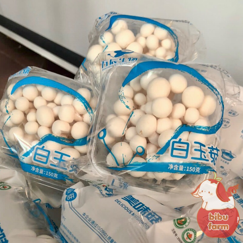

Jamur Shimeji Putih Berat 150 Gram/Pack