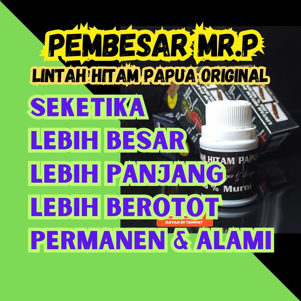 minyak lintah hitam papua asli