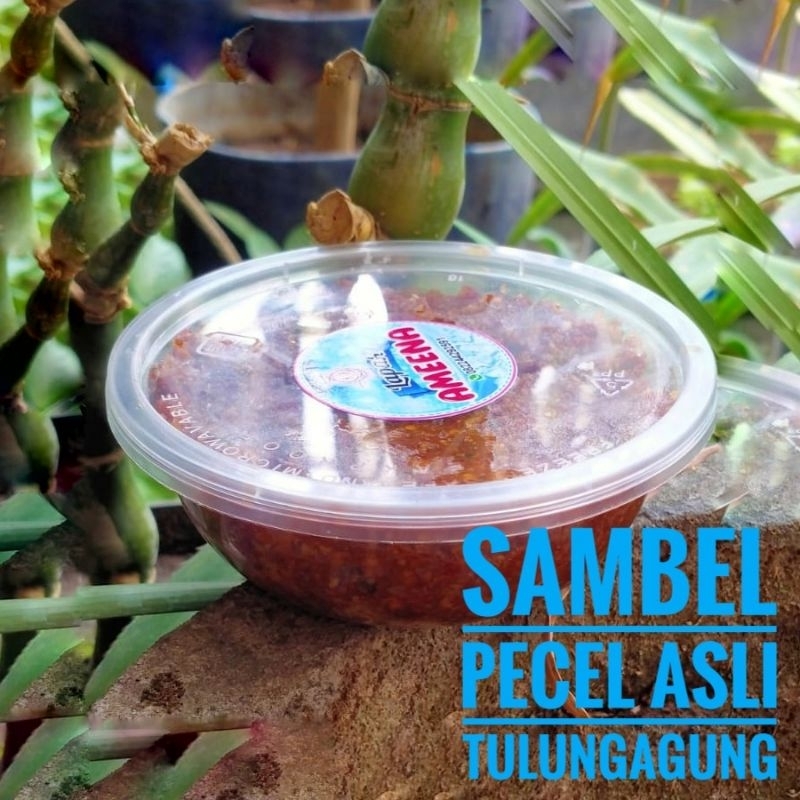 

SAMBEL PECEL ASLI TULUNGAGUNG