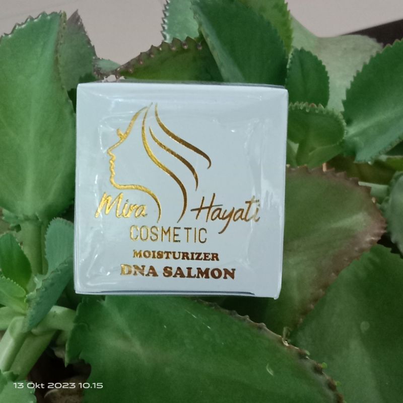 mira hayati / DNA Salmon